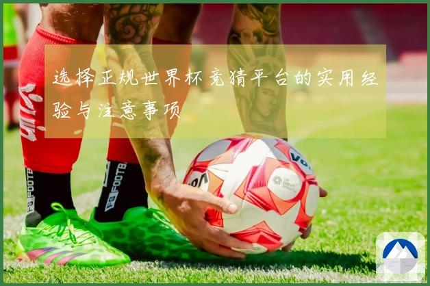 选择正规世界杯竞猜平台的实用经验与注意事项
