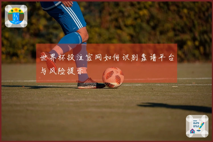 世界杯投注官网如何识别靠谱平台与风险提示