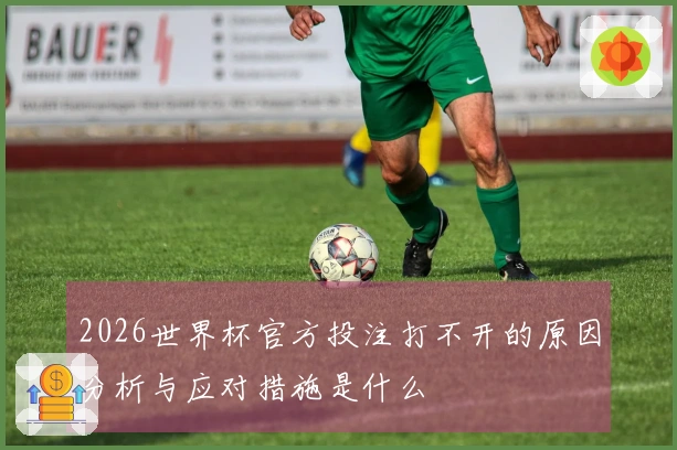 2026世界杯官方投注打不开的原因分析与应对措施是什么