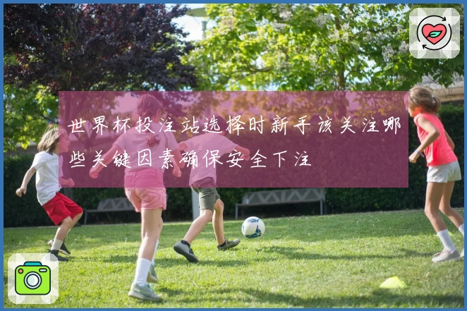 世界杯投注站选择时新手该关注哪些关键因素确保安全下注