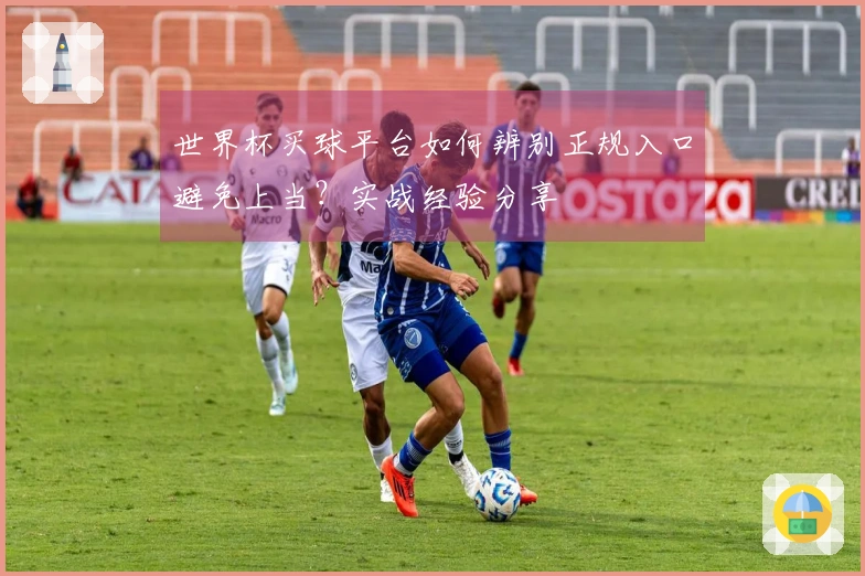 世界杯买球平台如何辨别正规入口避免上当？实战经验分享