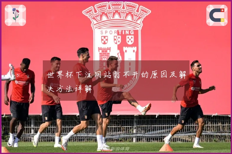 世界杯下注网站打不开的原因及解决方法详解
