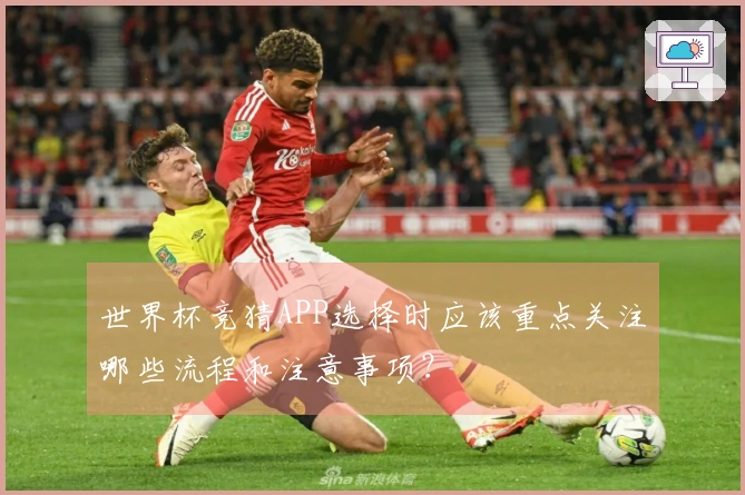 世界杯竞猜APP选择时应该重点关注哪些流程和注意事项？