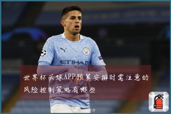 世界杯买球APP预算安排时需注意的风险控制策略有哪些