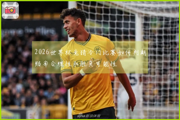 2026世界杯竞猜冷门比赛如何判断赔率合理性和胜负可能性