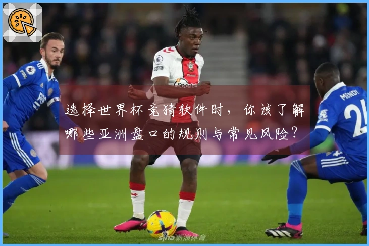 选择世界杯竞猜软件时，你该了解哪些亚洲盘口的规则与常见风险？