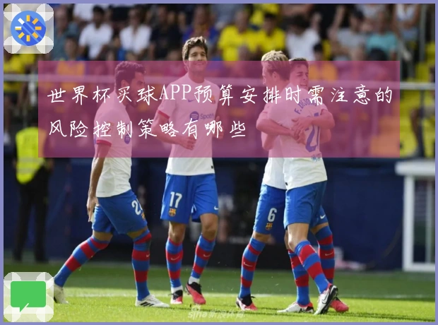 世界杯买球APP预算安排时需注意的风险控制策略有哪些