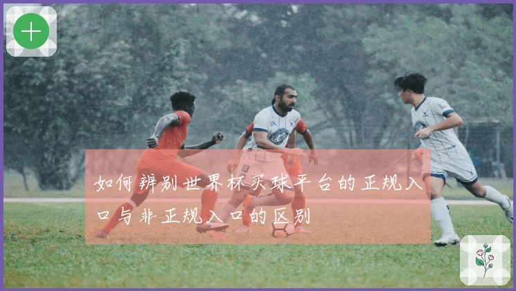 如何辨别世界杯买球平台的正规入口与非正规入口的区别