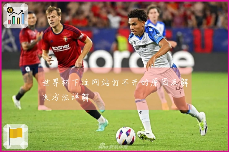 世界杯下注网站打不开的原因及解决方法详解