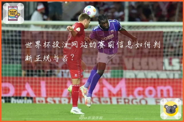 世界杯投注网站的赛前信息如何判断正规与否？