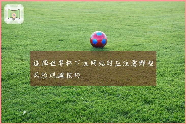 选择世界杯下注网站时应注意哪些风险规避技巧