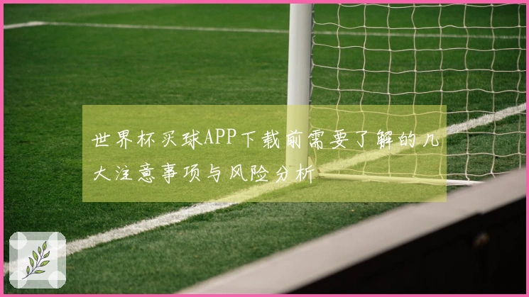 世界杯买球APP下载前需要了解的几大注意事项与风险分析