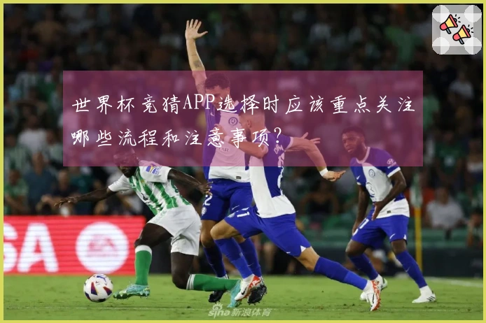 世界杯竞猜APP选择时应该重点关注哪些流程和注意事项？