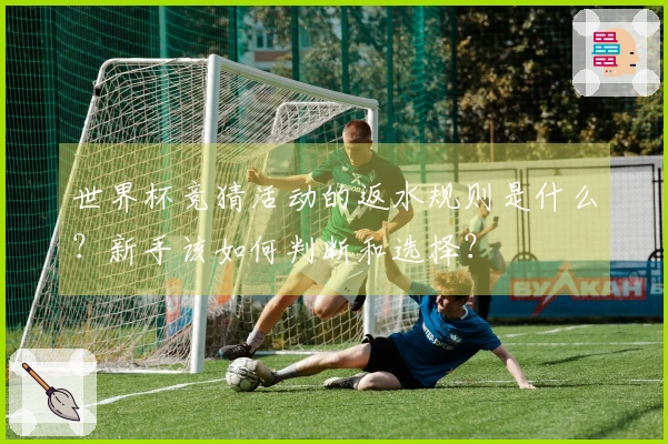 世界杯竞猜活动的返水规则是什么？新手该如何判断和选择？