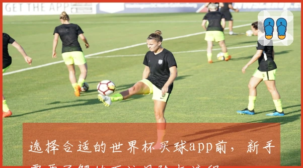 选择合适的世界杯买球app前,新手需要了解的下注风险与流程