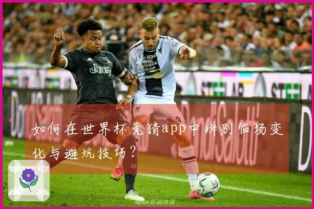 如何在世界杯竞猜app中辨别临场变化与避坑技巧？