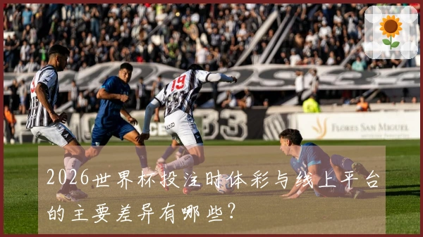 2026世界杯投注时体彩与线上平台的主要差异有哪些？
