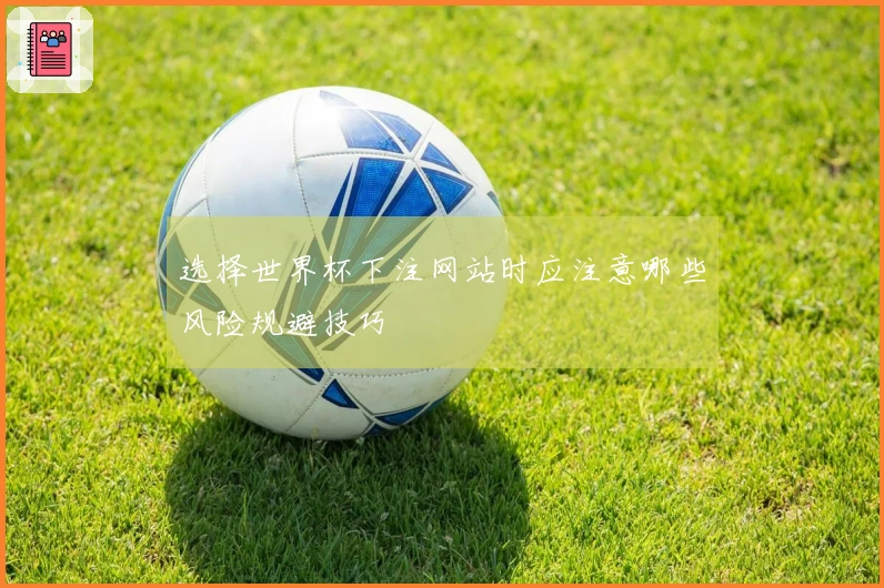 选择世界杯下注网站时应注意哪些风险规避技巧