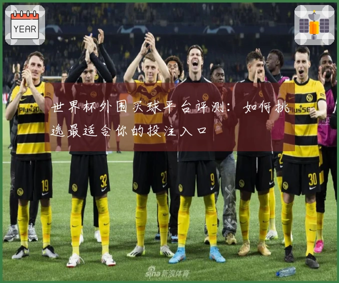 世界杯外围买球平台评测：如何挑选最适合你的投注入口