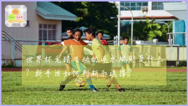 世界杯竞猜活动的返水规则是什么？新手该如何判断和选择？
