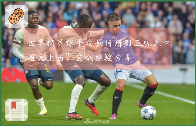 世界杯买球平台如何辨别正规入口避免上当？实战经验分享