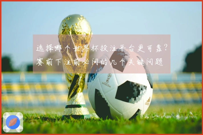 选择哪个世界杯投注平台更可靠？赛前下注前必问的几个关键问题