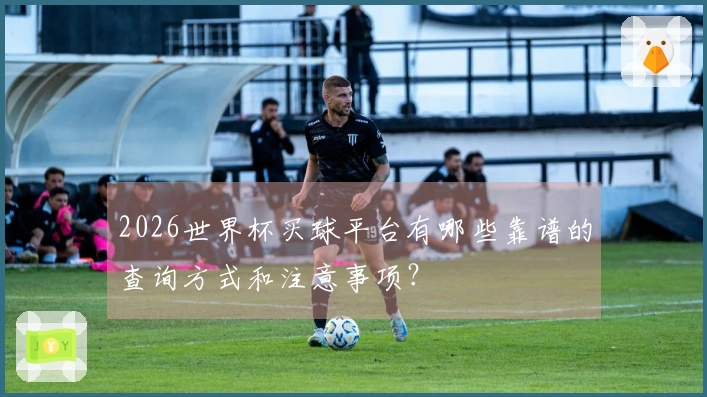 2026世界杯买球平台有哪些靠谱的查询方式和注意事项？