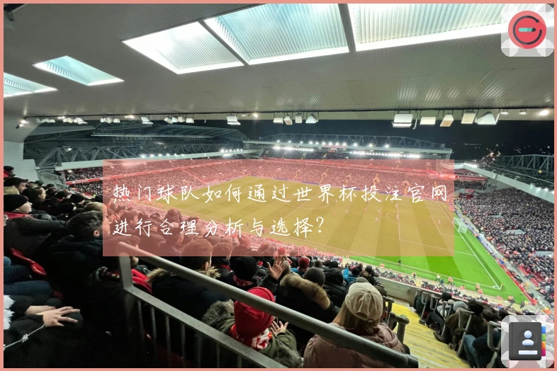 热门球队如何通过世界杯投注官网进行合理分析与选择？