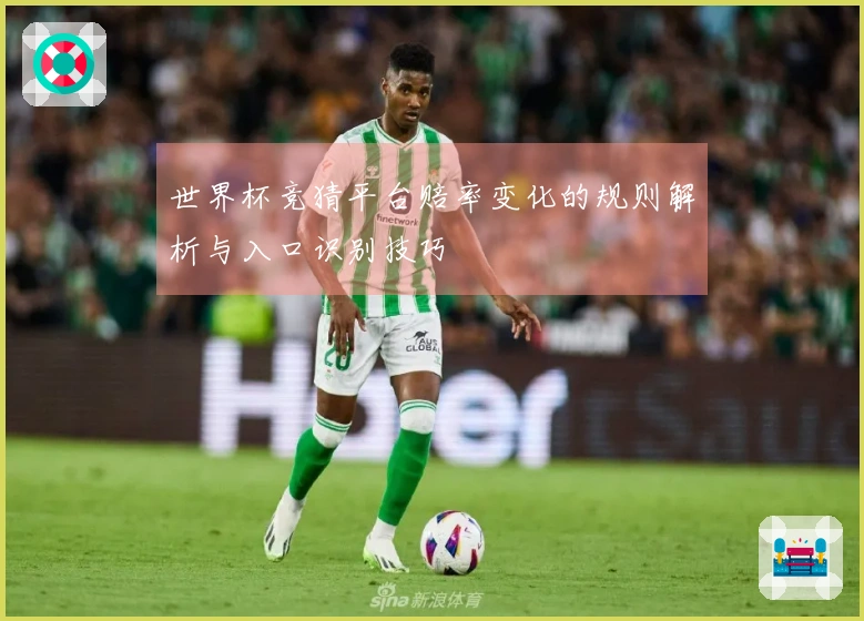 世界杯竞猜平台赔率变化的规则解析与入口识别技巧