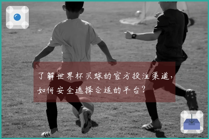 了解世界杯买球的官方投注渠道，如何安全选择合适的平台？