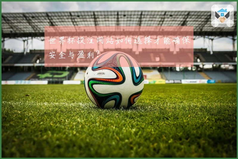 世界杯投注网站如何选择才能确保安全与盈利？