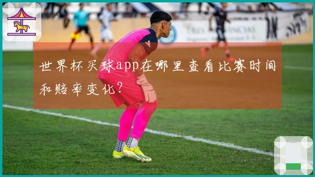 世界杯买球app在哪里查看比赛时间和赔率变化？