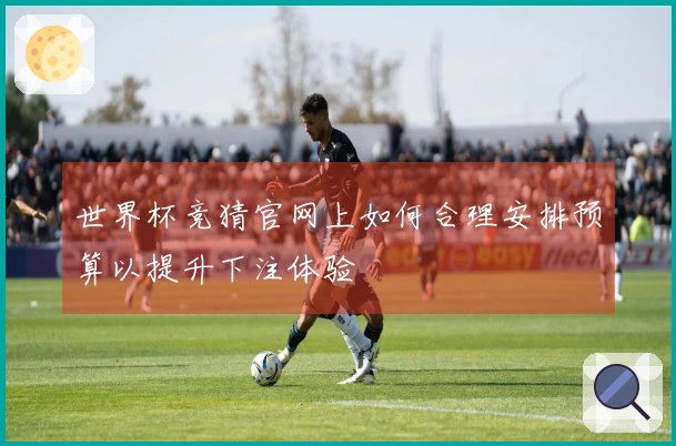 世界杯竞猜官网上如何合理安排预算以提升下注体验
