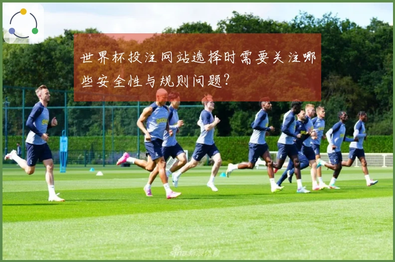 世界杯投注网站选择时需要关注哪些安全性与规则问题？