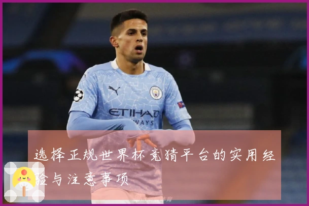 选择正规世界杯竞猜平台的实用经验与注意事项