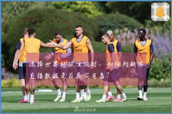 选择世界杯投注站时，如何判断其直播数据是否真实可靠？