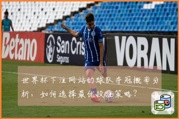 世界杯下注网站的球队夺冠概率分析，如何选择最优投注策略？
